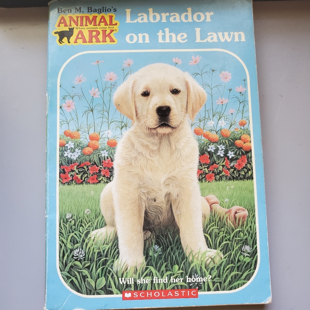 Labrador on the Lawn